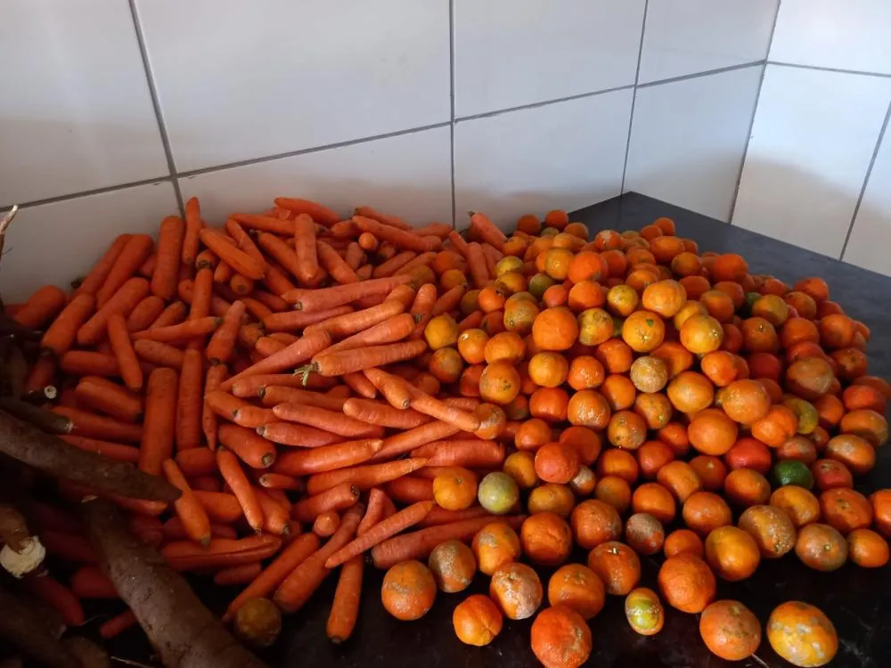 Entrega de verduras beneficia 140 famílias e fortalece a segurança alimentar em Suzano