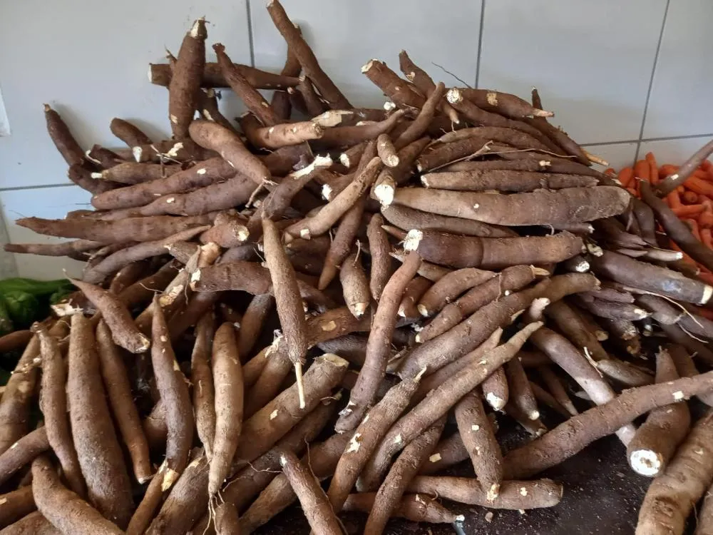 Entrega de verduras beneficia 140 famílias e fortalece a segurança alimentar em Suzano