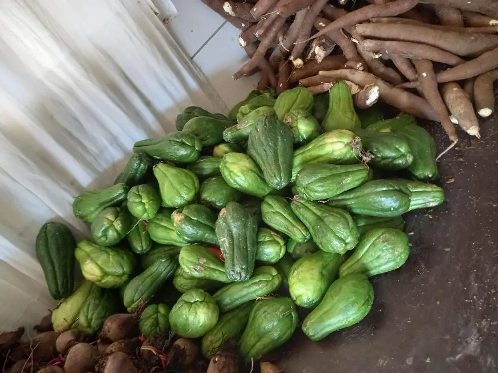 Entrega de verduras beneficia 140 famílias e fortalece a segurança alimentar em Suzano