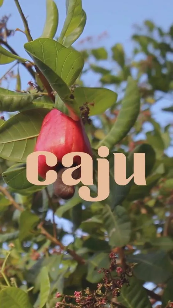 É Caju... É Brasil!