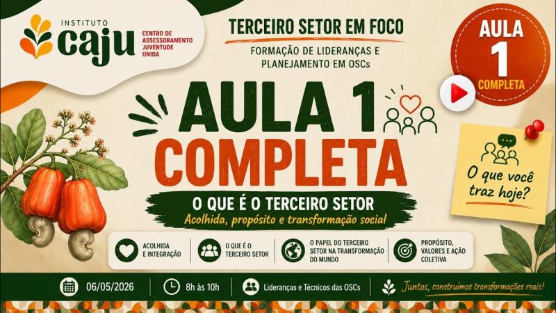 Aula 01 | O que é o Terceiro Setor ?
